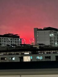Blk 430A Bedok North Woods (Bedok), HDB 3 Rooms #595814171